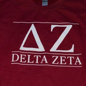 Delta Zeta sweatshirt-brand new